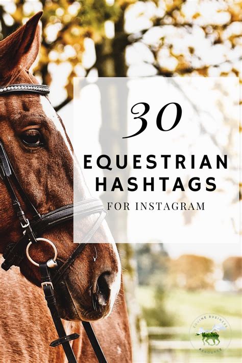 horse hashtags